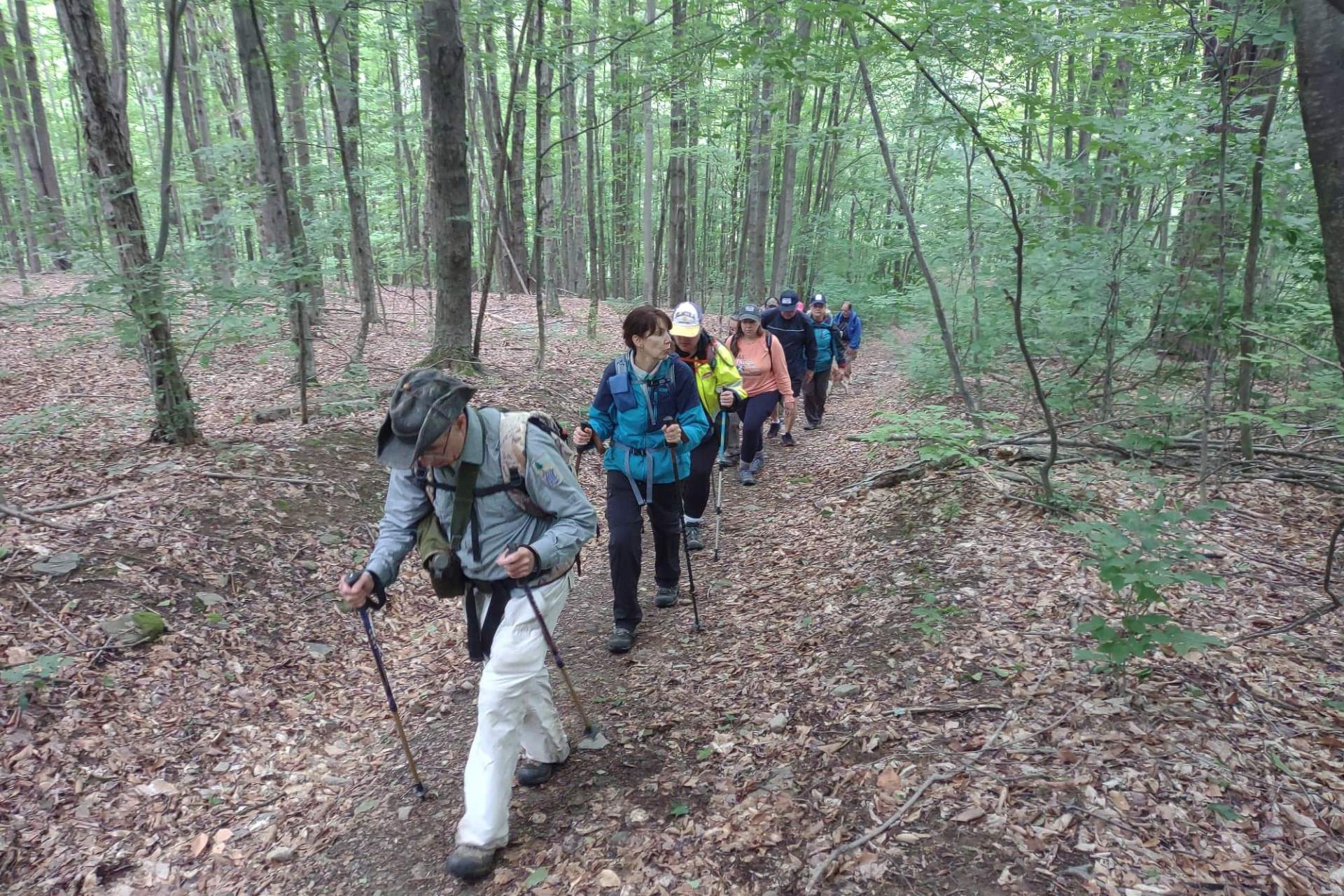 Small Business Support Hikes Historic Barclay Mountain Small Business Support Hikes Historic Barclay Mountain