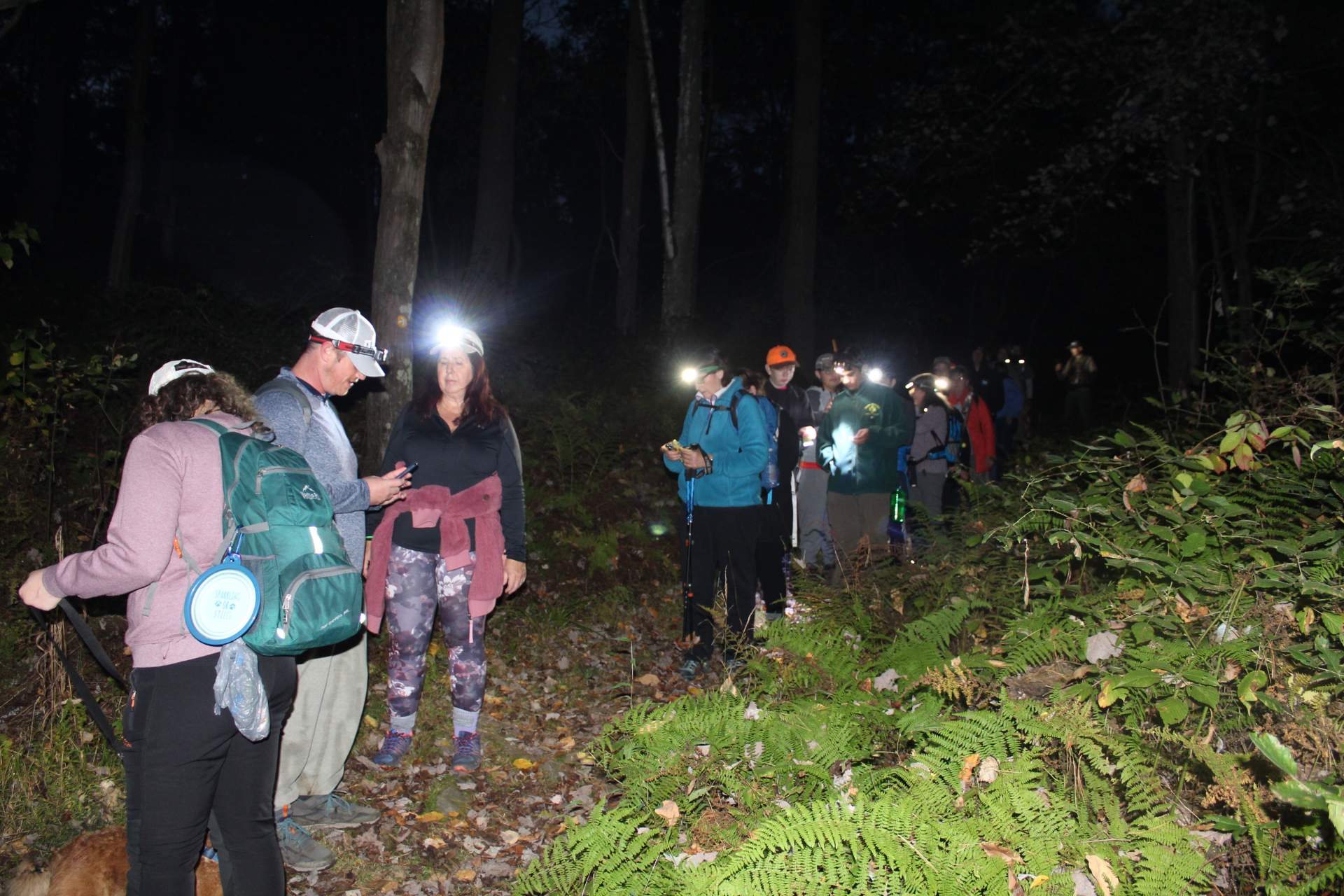 Small Business Support Hikes Mt. Pisgah State Park Night Hike and Telescope Tour Small Business Support Hikes: Mt. Pisgah State Park Night Hike and Telescope Tour