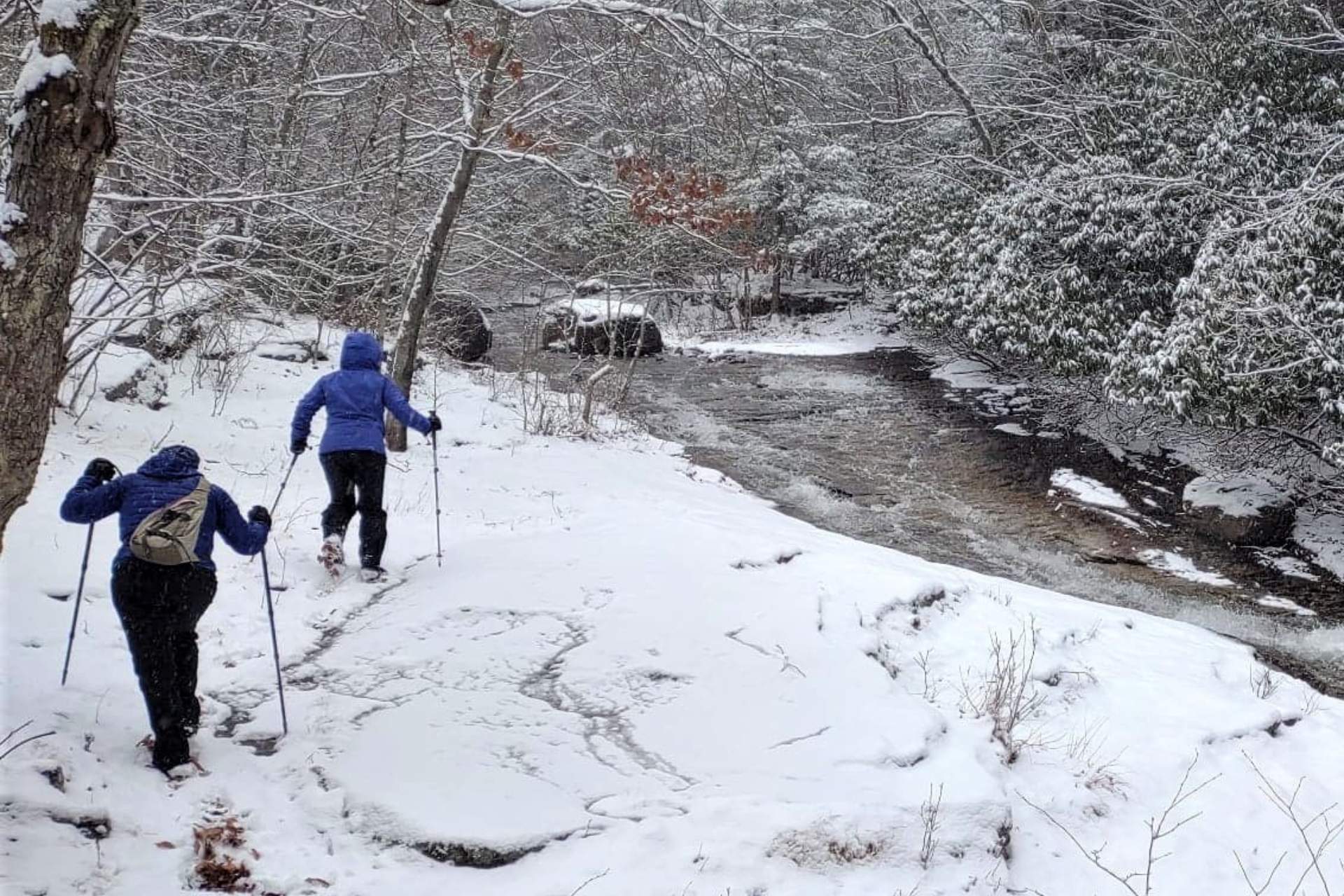 Winter Hiking at Vosburg Neck State Park Winter Hiking at Vosburg Neck State Park