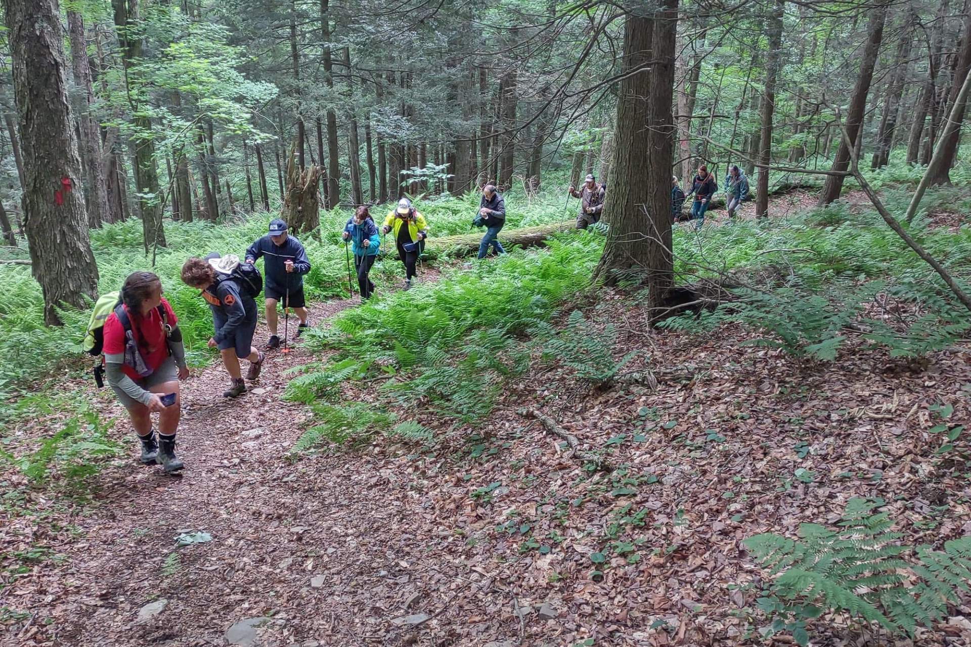 SBS Hike Mt Pisgah SBS Hike Mt Pisgah