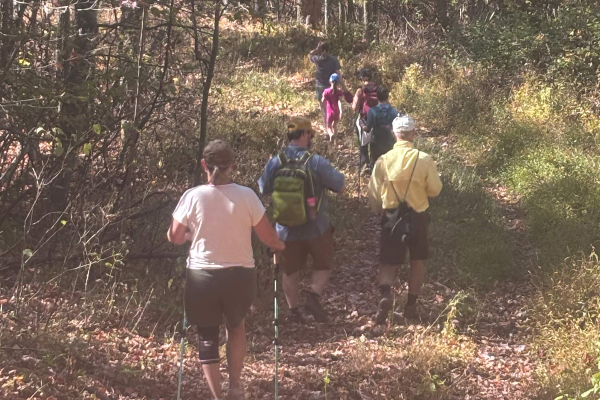 A Walk in Penns Woods at the Makoma Conservancy